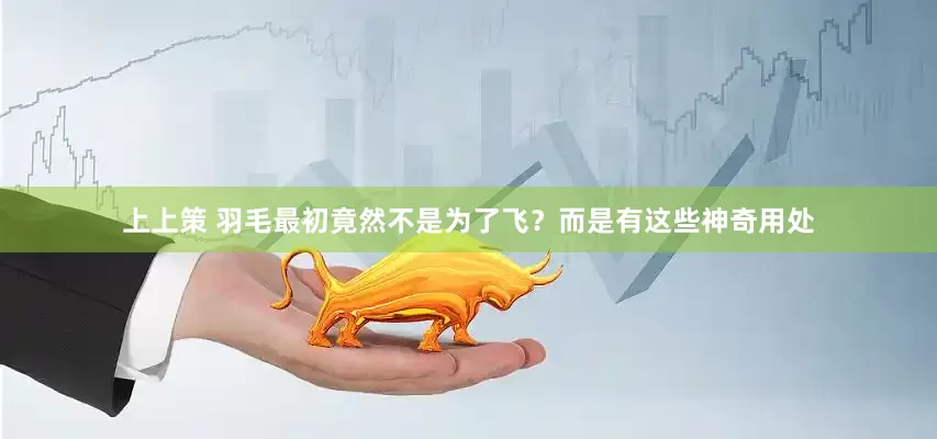 上上策 羽毛最初竟然不是為了飛？而是有這些神奇用處