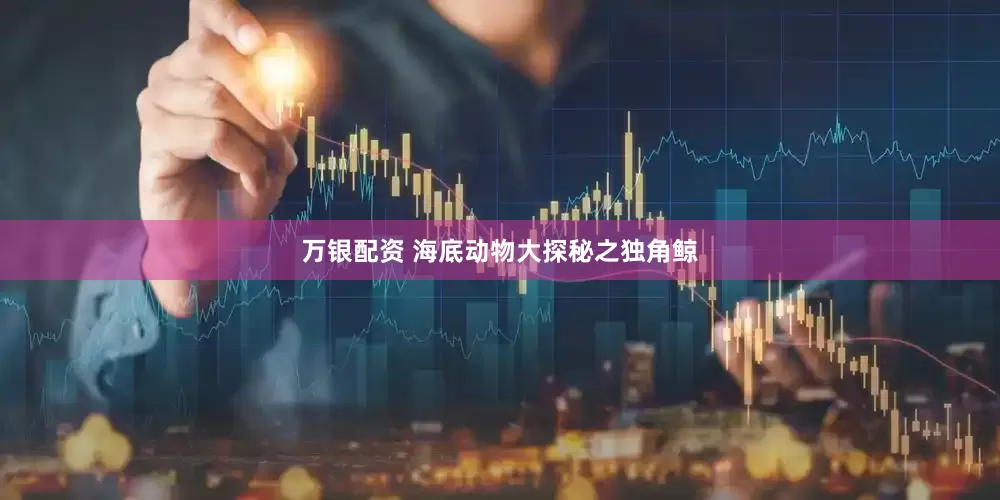 萬銀配資 海底動物大探秘之獨角鯨