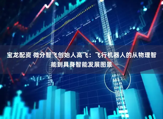 寶龍配資 微分智飛創始人高飛：飛行機器人的從物理智能到具身智能發展圖景