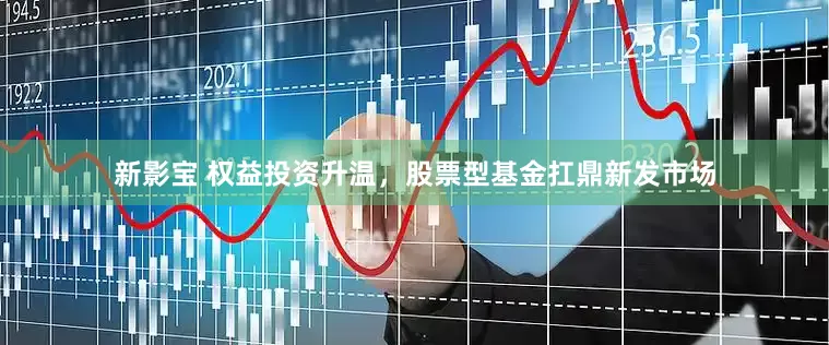 新影寶 權益投資升溫，股票型基金扛鼎新發市場