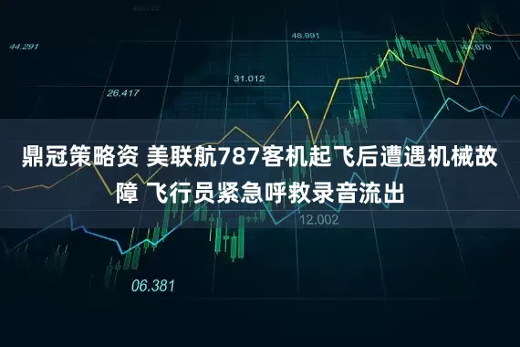 鼎冠策略資 美聯航787客機起飛后遭遇機械故障 飛行員緊急呼救錄音流出
