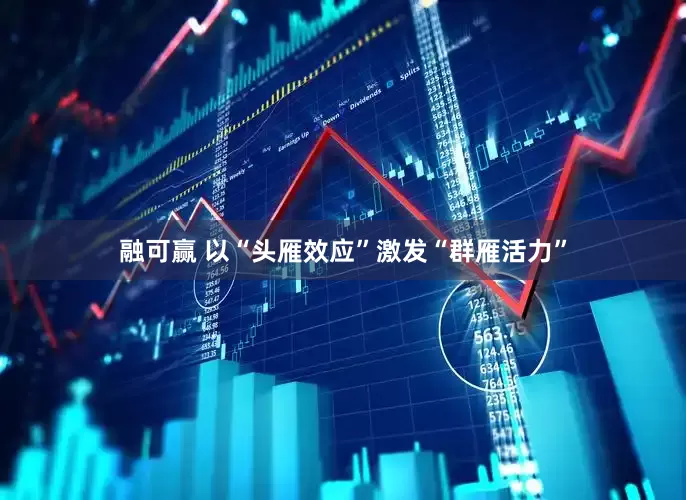 融可贏 以“頭雁效應”激發“群雁活力”